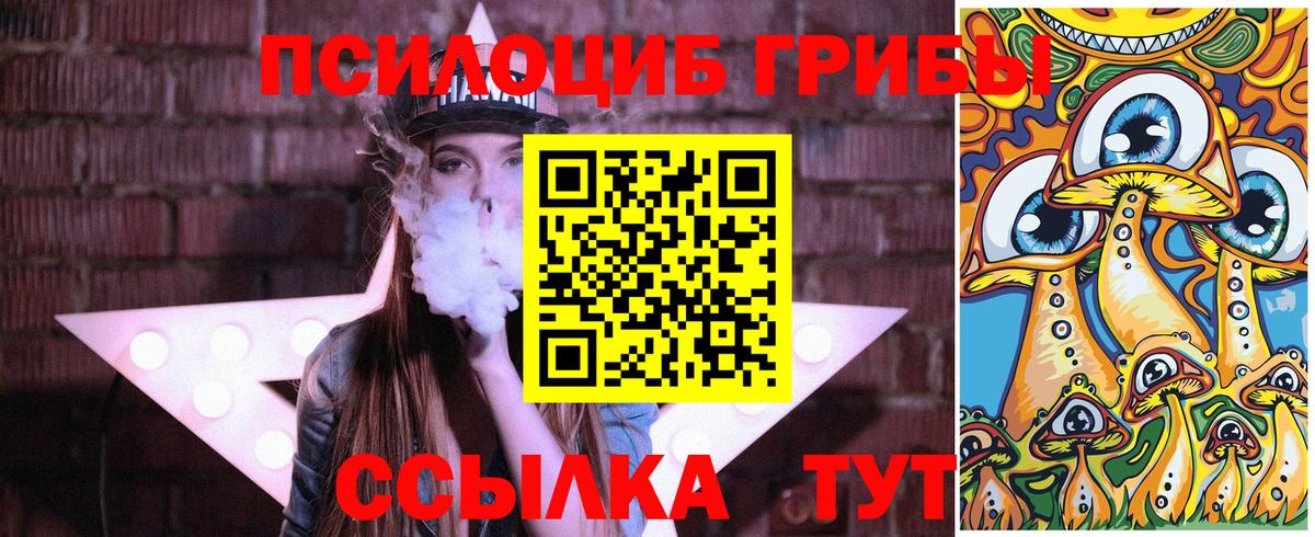 Псилоцибиновые грибы GOLDEN TEACHER  Вход с VPN  Сегежа 