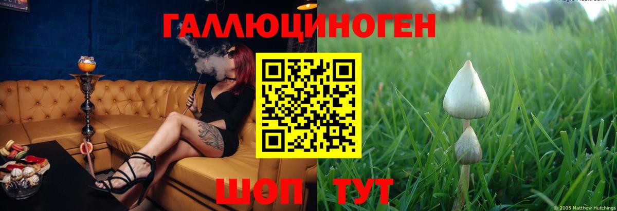 Галлюциногенные грибы Psilocybine cubensis Сегежа